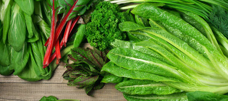 Fall Greens to Plant: From Mild to Wild