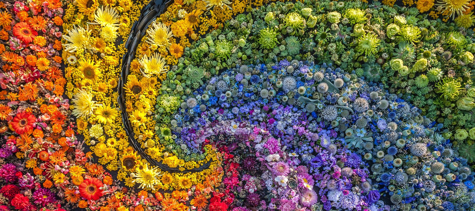 Language and Meaning of Flowers