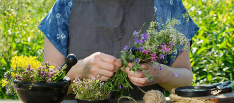 Grow Your Own Natural Medicine Cabinet