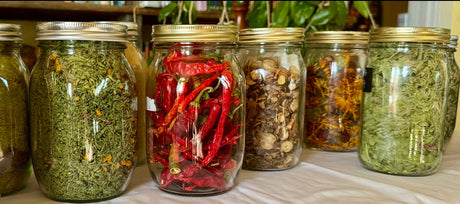 Sweet Healing: How One Woman is Making Herbal Medicine Delicious