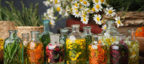 Flowers That Heal: Start Growing Today