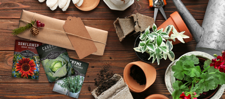 Holiday Gifts from the Survival Garden