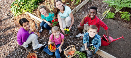 The Value of Planting Your Own Modern Victory Garden