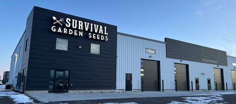 How Our Garden Seed Company Earned Congressional Recognition and a National Retail Launch