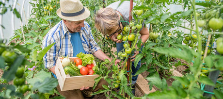 Start a Backyard Garden From Scratch