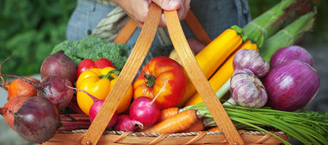 Survival Gardening 101 - Harvesting and Storing Your Food