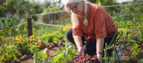 What Is a Survival Garden?