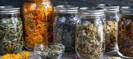 How to Dry and Preserve Herbs