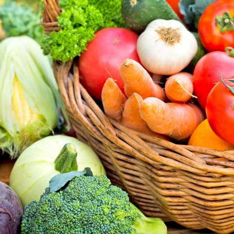 Vegetable Garden Seed Collections