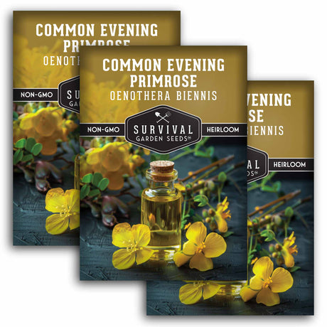 Common Evening Primrose Seeds - Native Wildflower