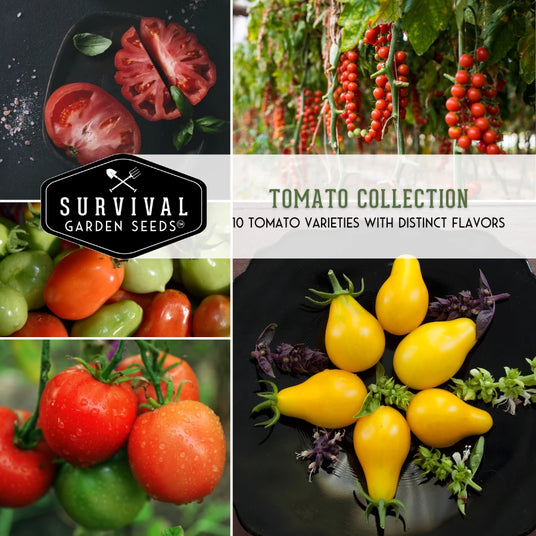 10 Tomato Seed Collection - 10 tomato varieties with distinct flavors