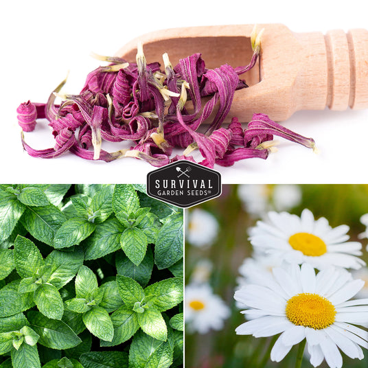 Farmers collection contains flowers and herbs