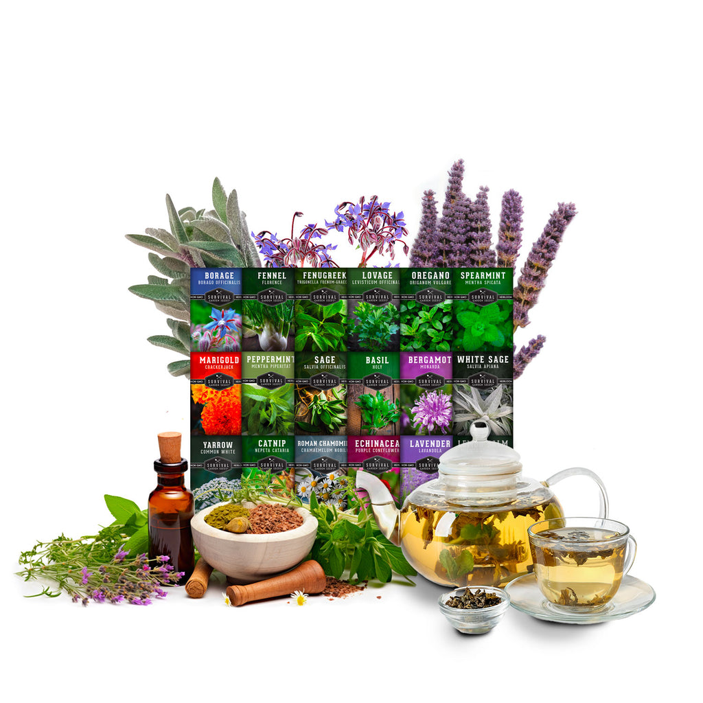 Medicinal Herb Collection - 18 Medicinal Herbs