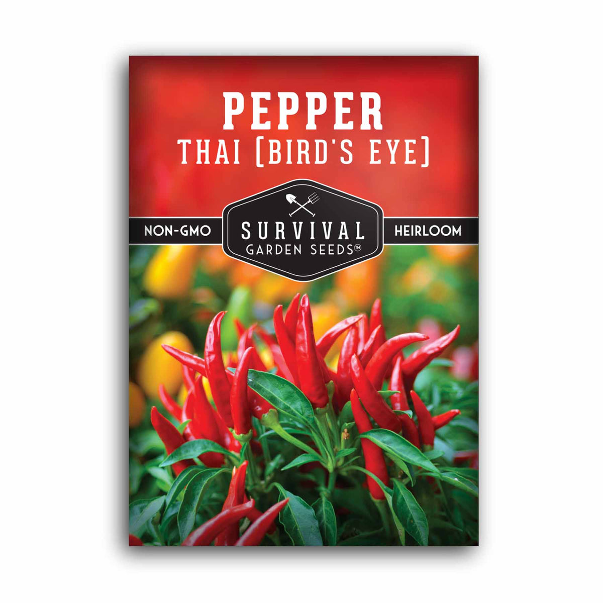 Thai Chili Pepper Seeds Bird's Eye Thai Chili SurvivalGardenSeeds
