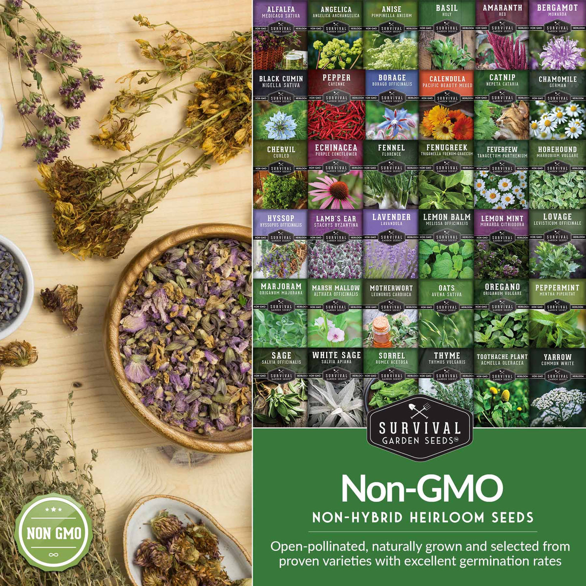 A seed packet for Survival Garden Seeds Non-GMO Non-Hybrid Heirloom Seeds shown next to a styled flat-lay of dried and fresh herbs on a light wood surface. The packet features a grid of many colorful plant variety labels.