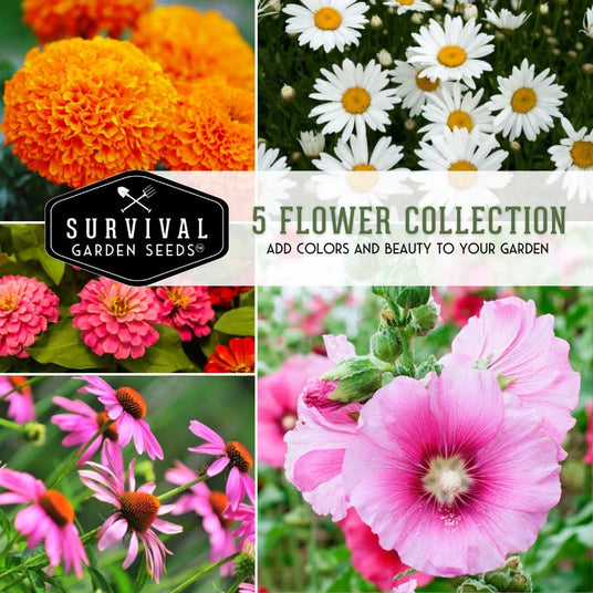 5 Flower Seed Collection - add colors and beauty to your garden