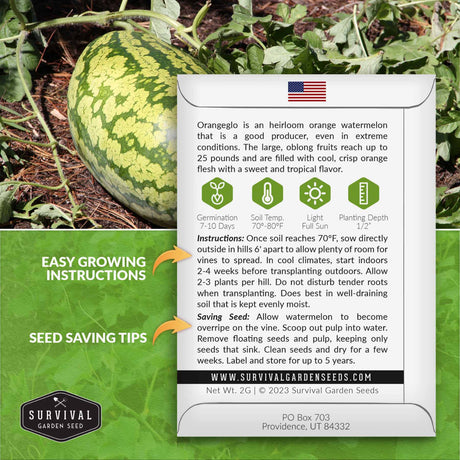 Orangeglo watermelon seed growing instructions