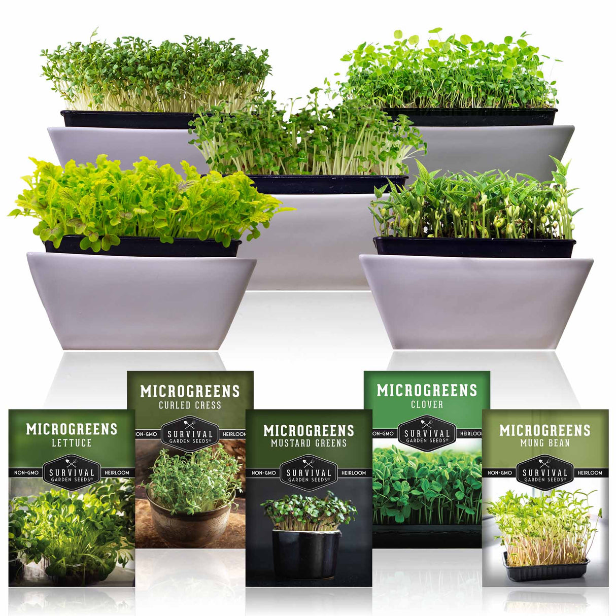 5 Packs of Microgreens seeds