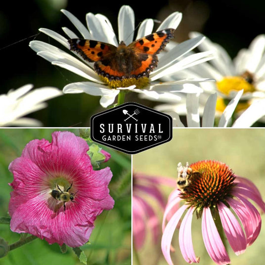 Flowers with pollinators
