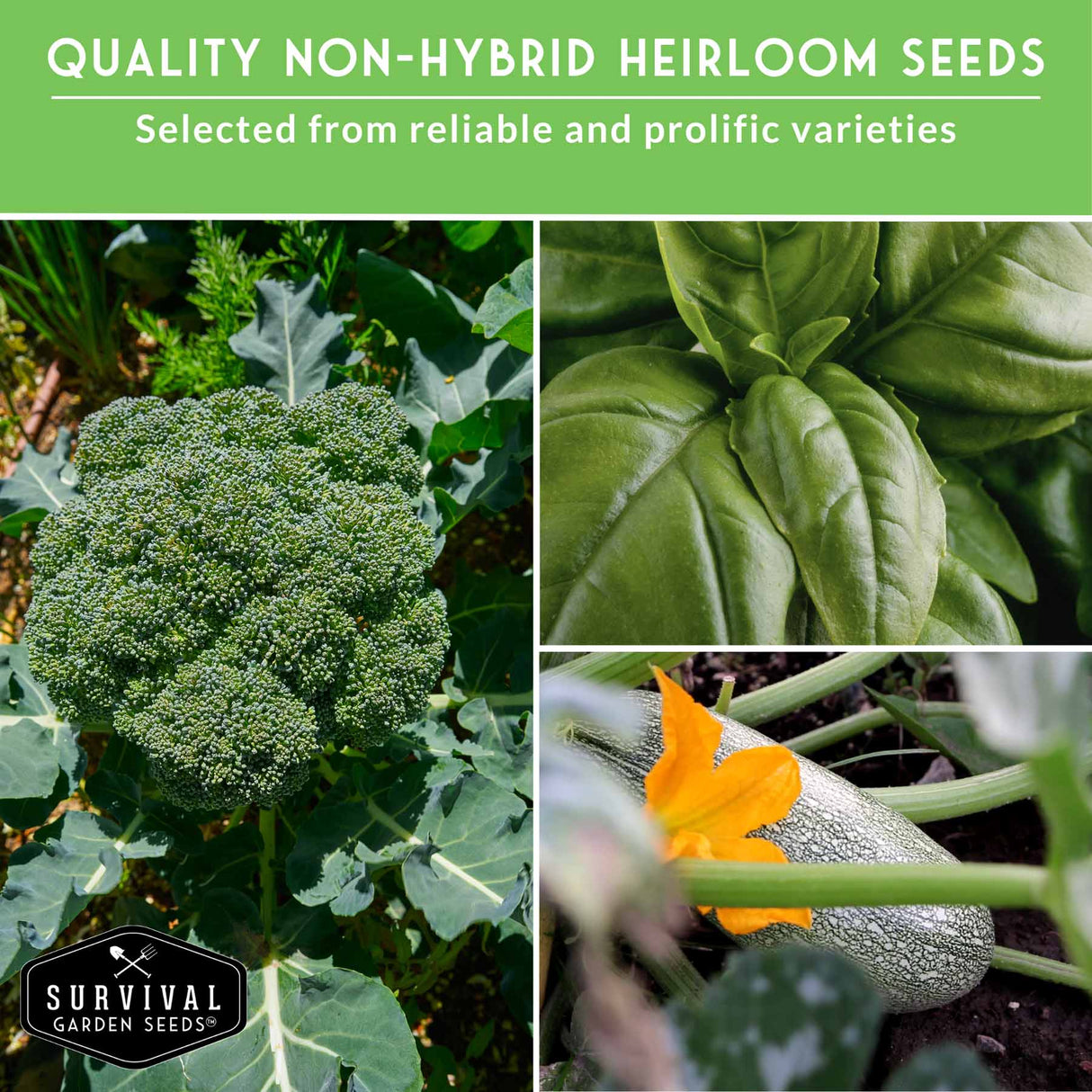 Collage of green plants with text about non-hybrid heirloom seeds and Survival Garden Seeds logo.