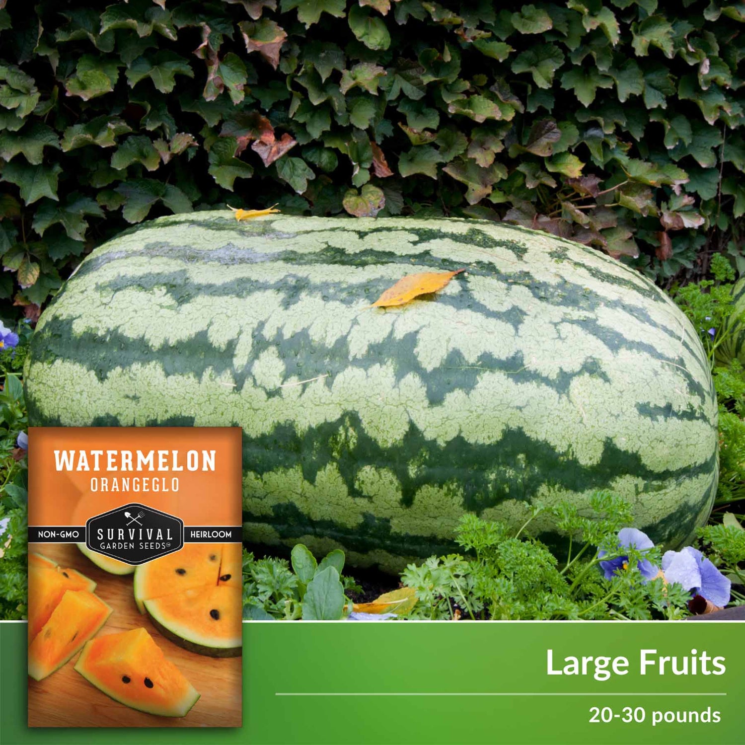 Large fruits