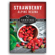 Strawberry Alpine Regina seed packet with 'Survival Garden Seeds' branding.