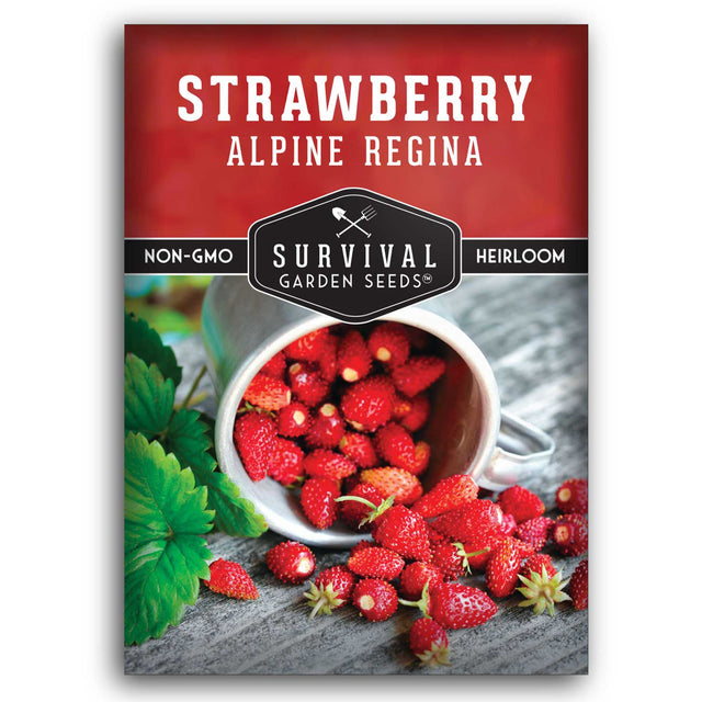 Strawberry Alpine Regina seed packet with 'Survival Garden Seeds' branding.