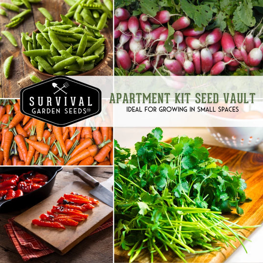 Apartment Seed Kit - ideal for growing in small spaces