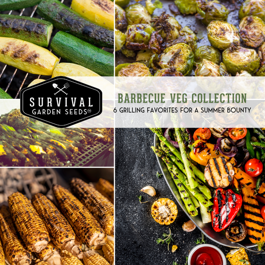 Barbecue Veg Seed Collection - 6 grilling favorites for a summer bounty