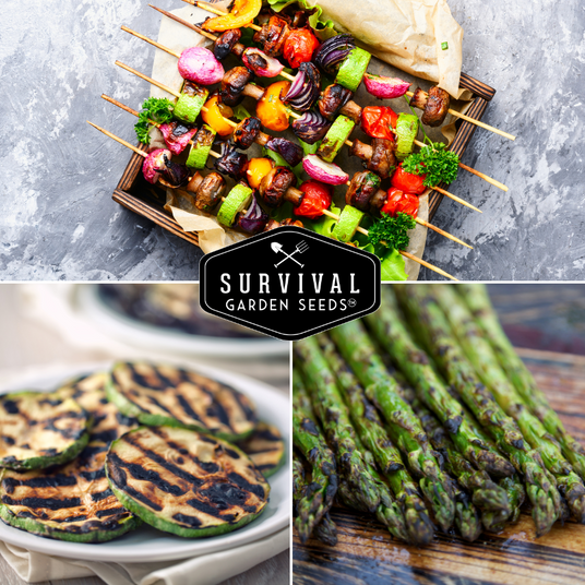 Barbecued vegetables, kabobs and asparagus