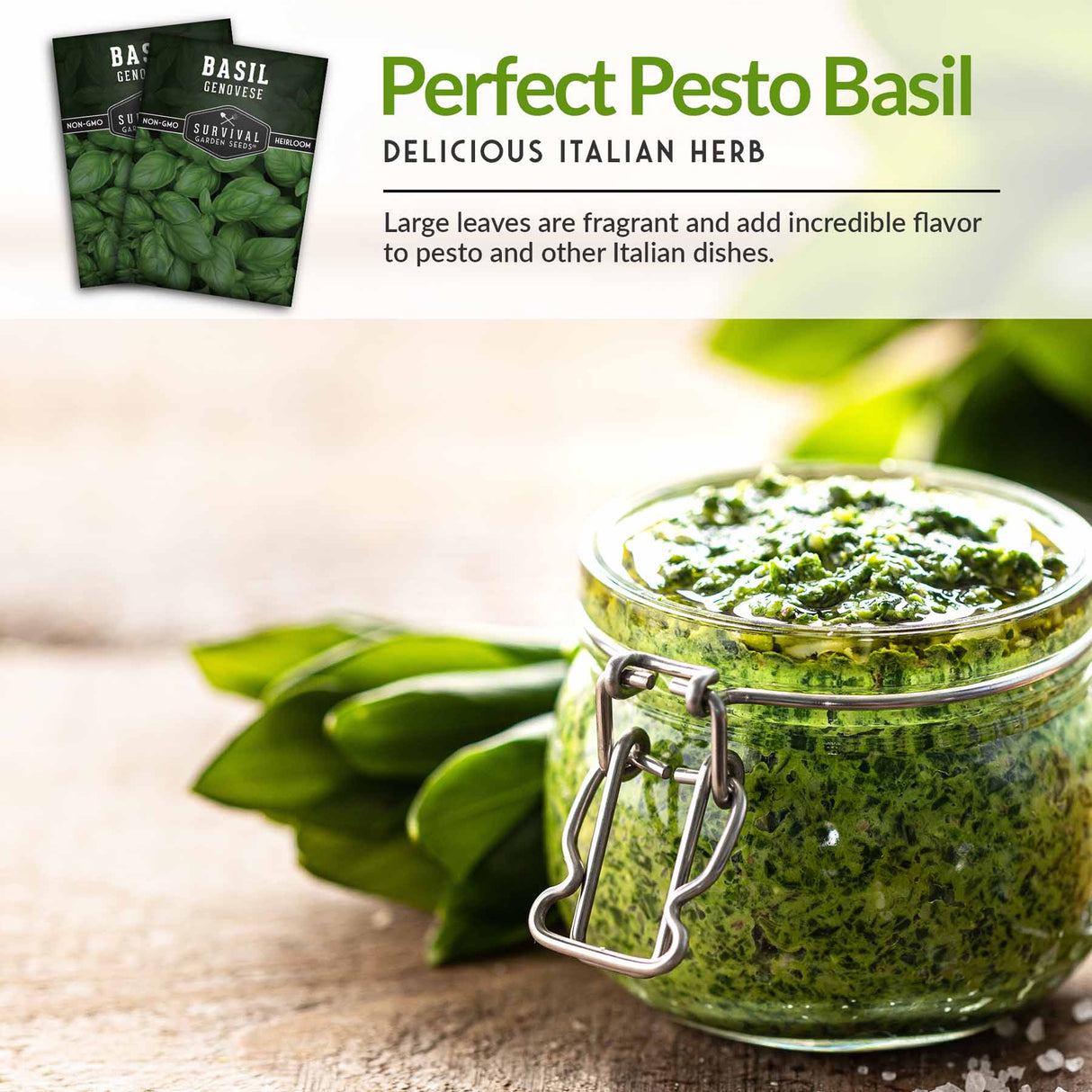 Perfect pesto basil