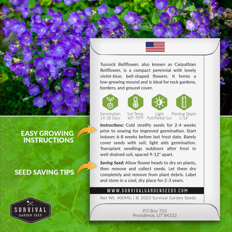 Tussock Bellflower Growing Instructions