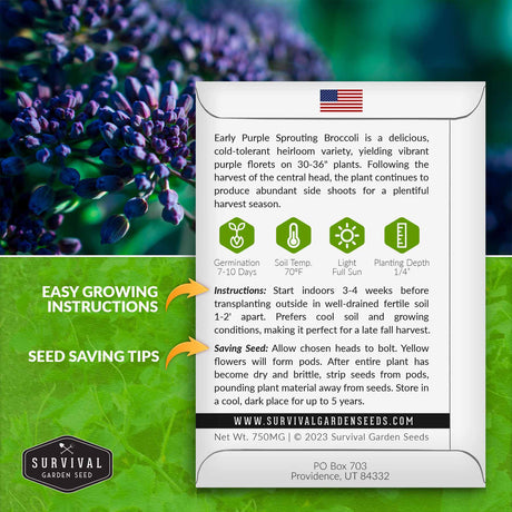 Early Purple Broccoli growing instructions