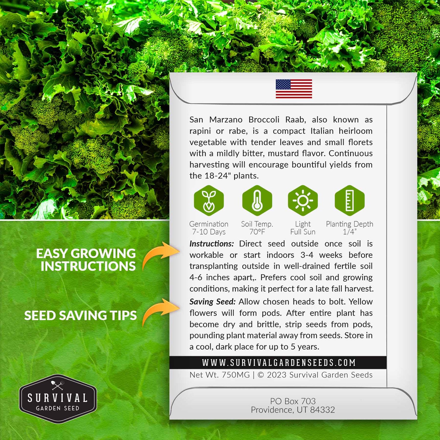 Broccoli Raab growing instructions