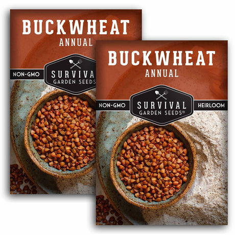 Buckwheat Seeds 2 pack