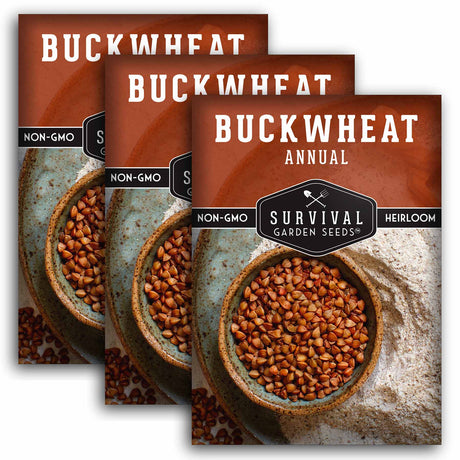 Buckwheat Seed 3 Pack
