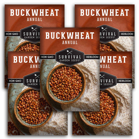 Buckwheat Seed 5 Pack