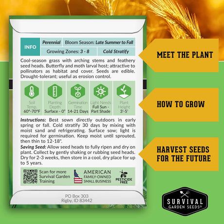 Canada Wild Rye Seed growing instructions