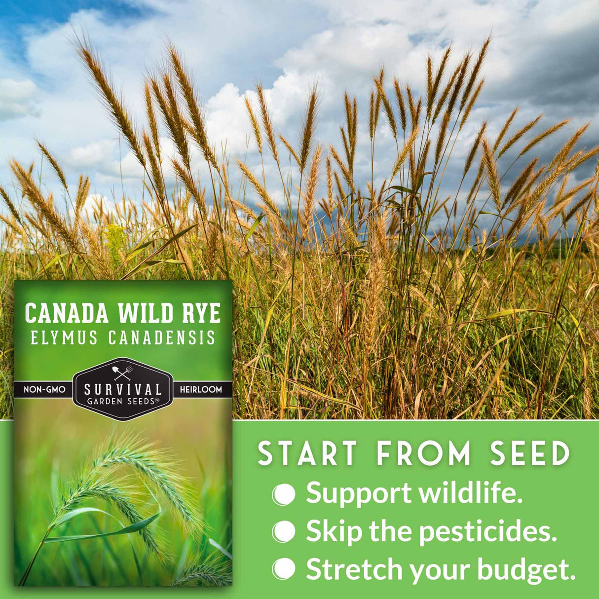 Start from seed