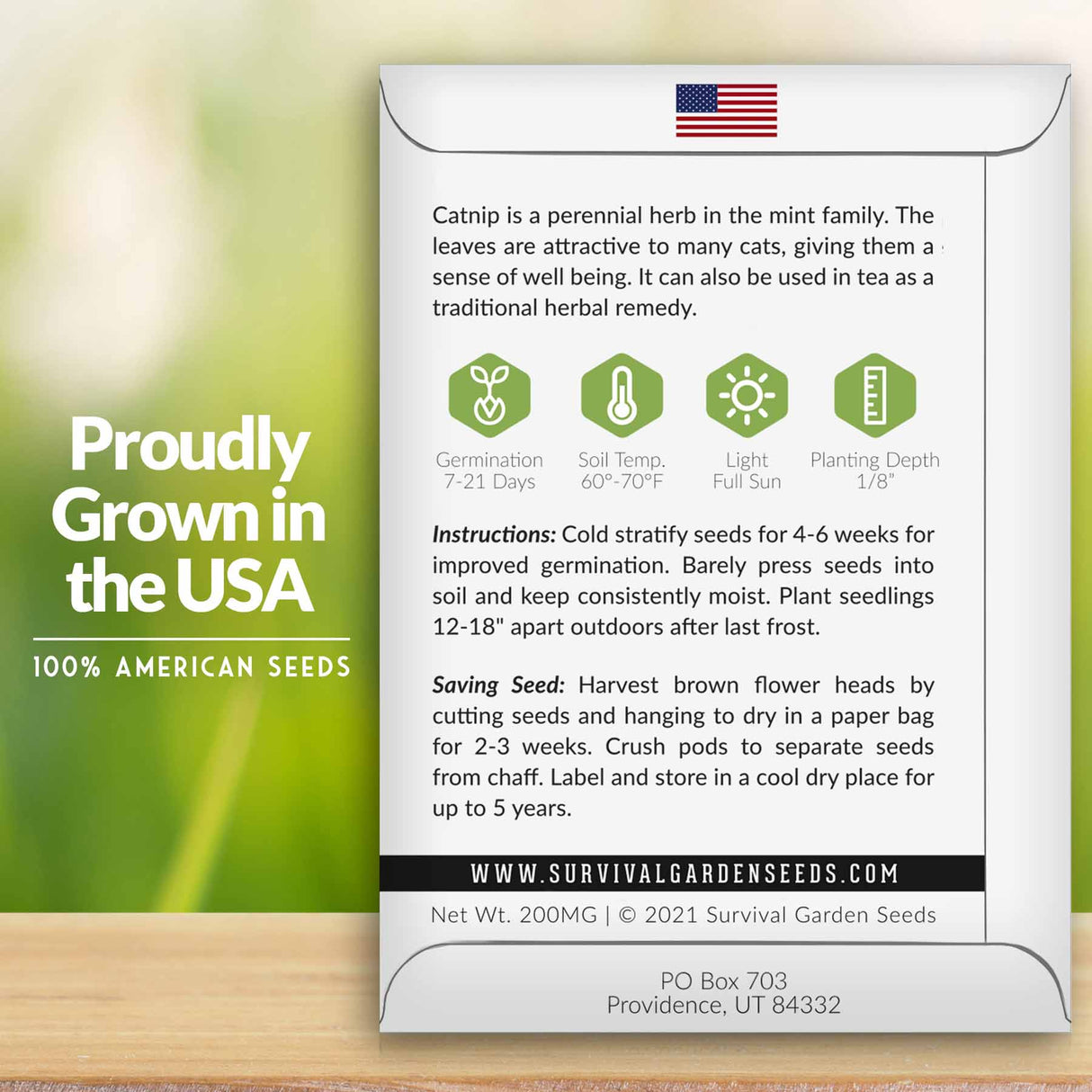 Catnip seed growing instructions