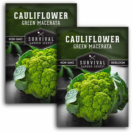 2 packets of Green Macerata Cauliflower seeds