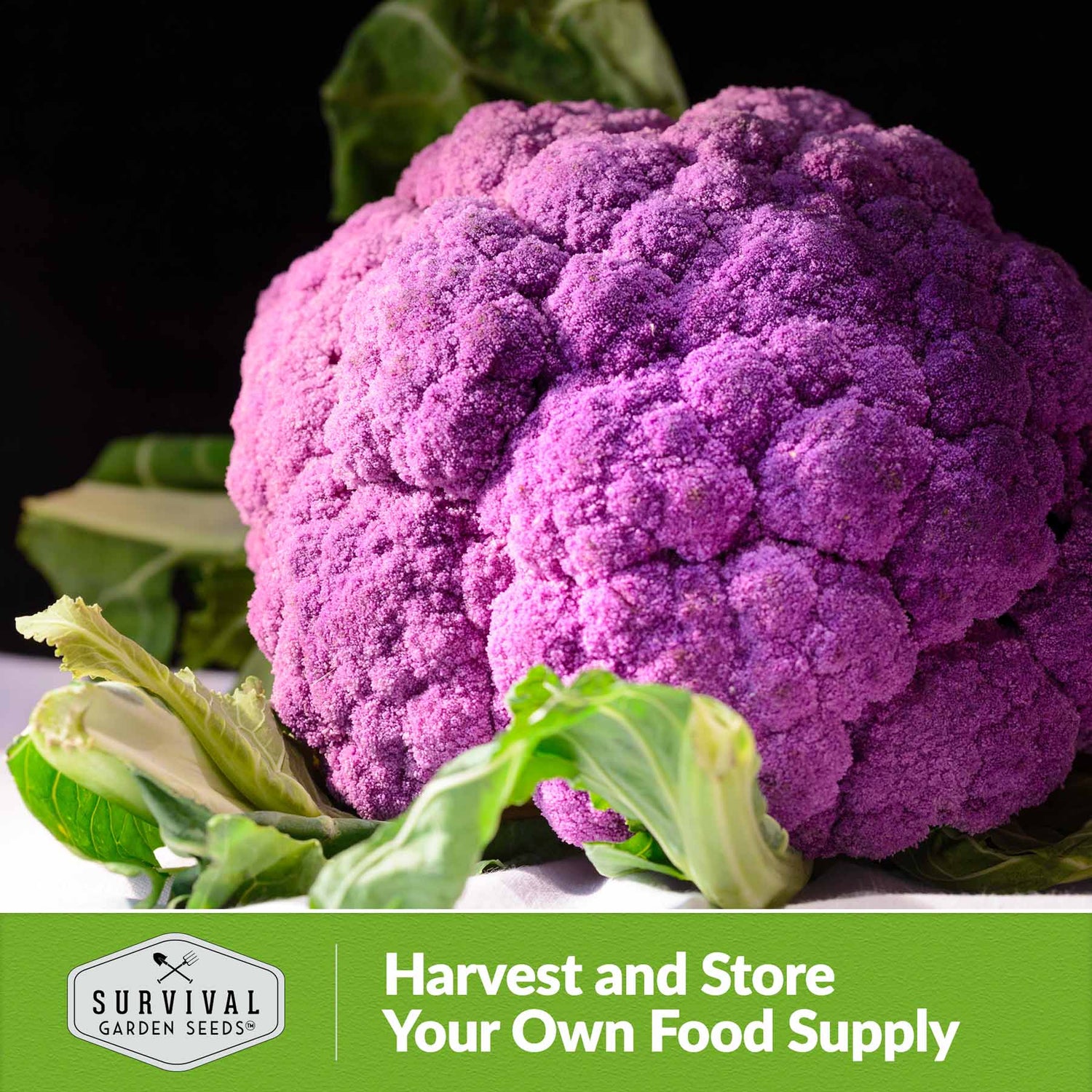 Harvest and store your own food supply
