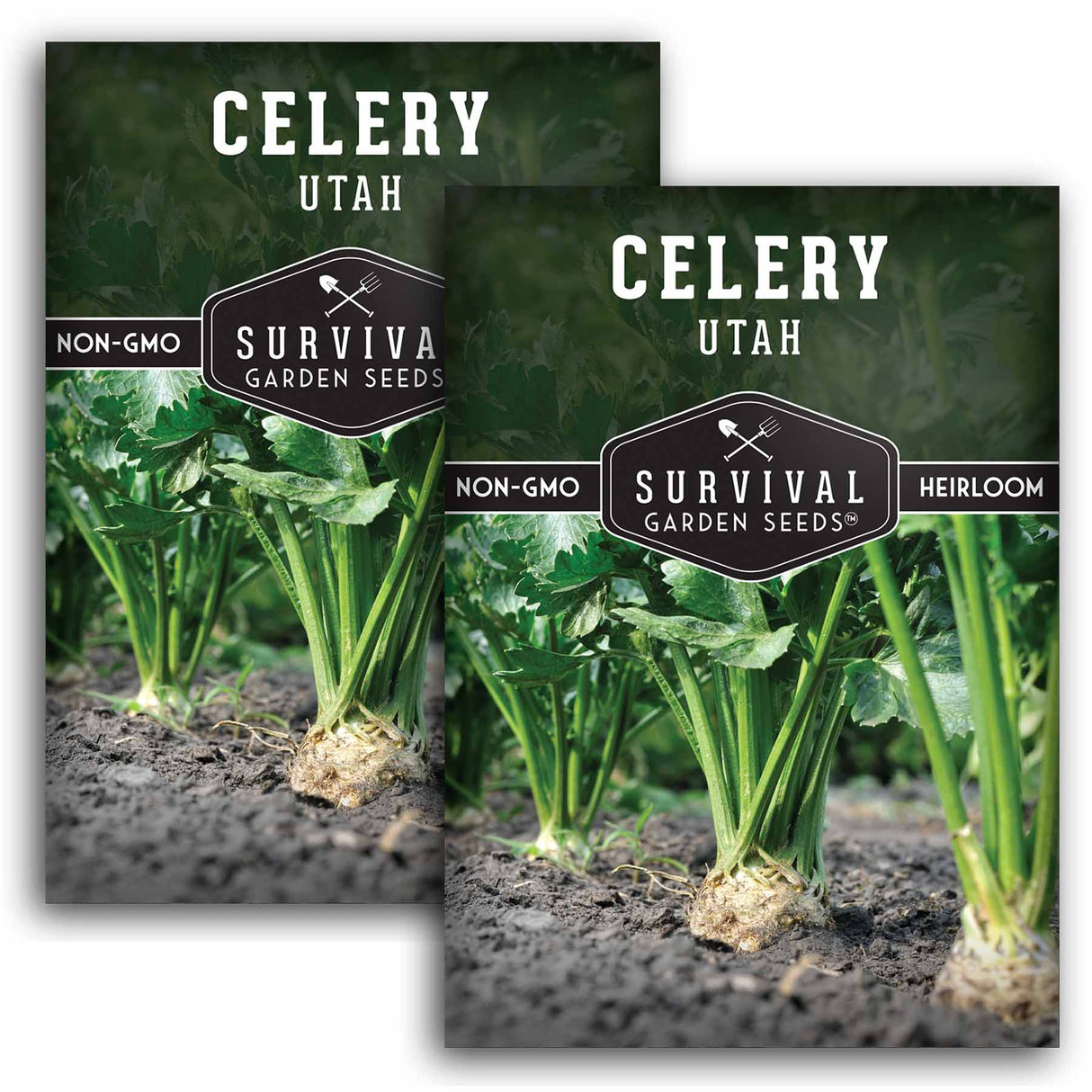 2 Packets of Utah Celery seeds