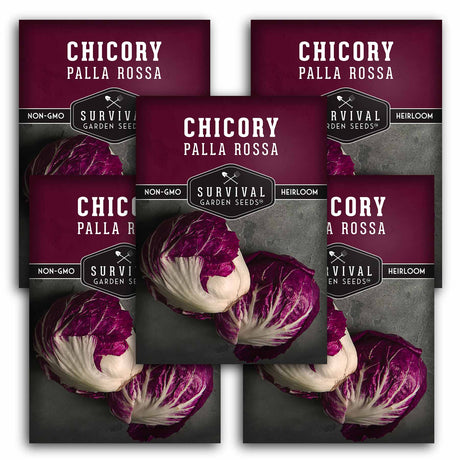 5 packets of Palla Rossa Chicory seeds