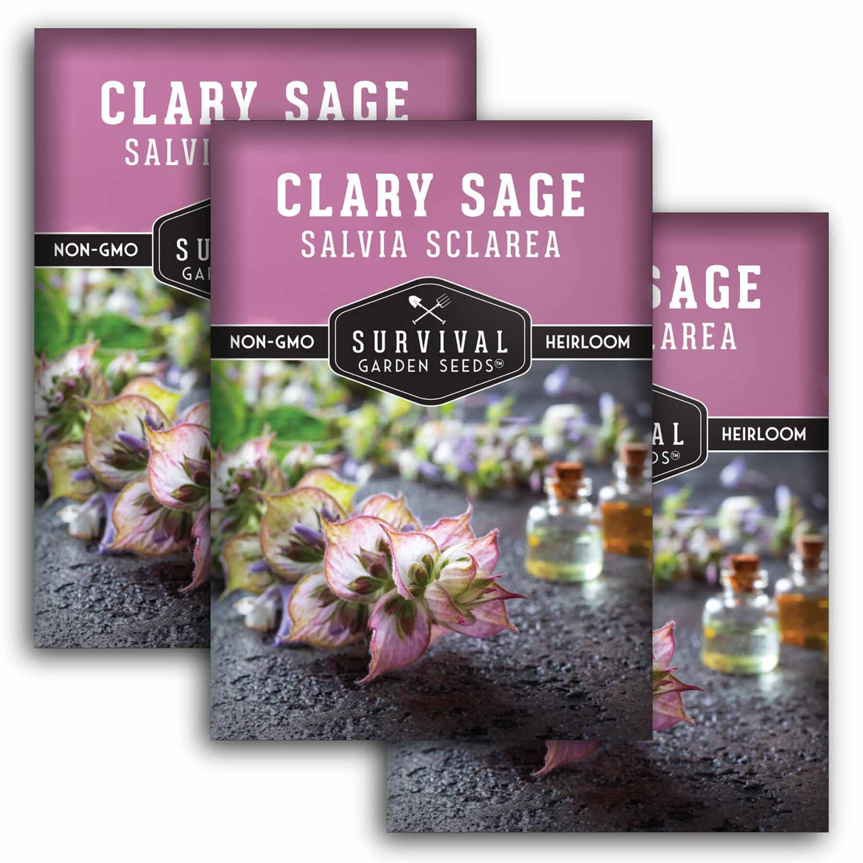 3 Packets of Clary Sage Seeds