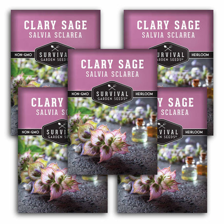 5 Packets of Clary Sage Seeds