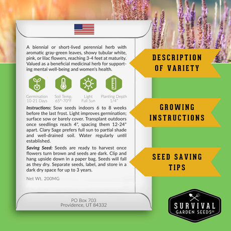 Clary sage seed growing and saving instructions