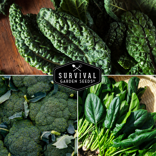 Cool Weather vegetables - broccoli, kale and spinach