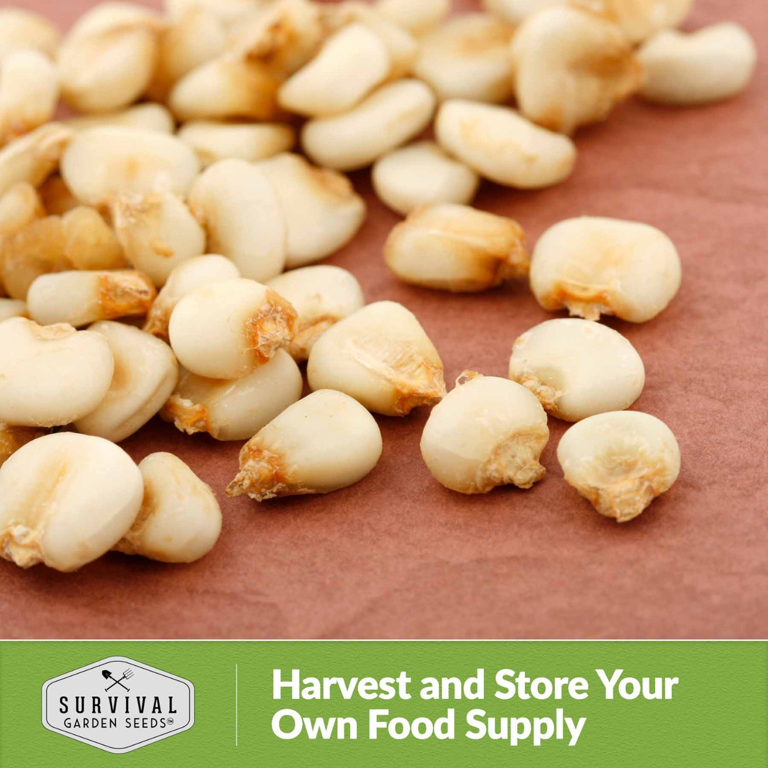 Harvest and store your own food supply