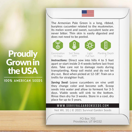 Armenian Pale Green Cucumber Growing instructions